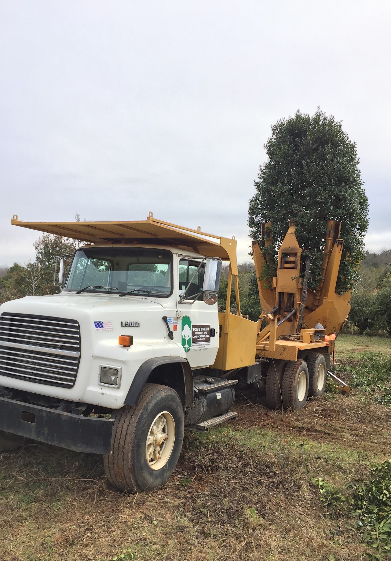 Toms Creek truck-mounted tree spade carrying a large magnolia