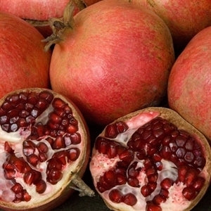 Wonderful Pomegranate - Punica granatum 'Wonderful' - image 4