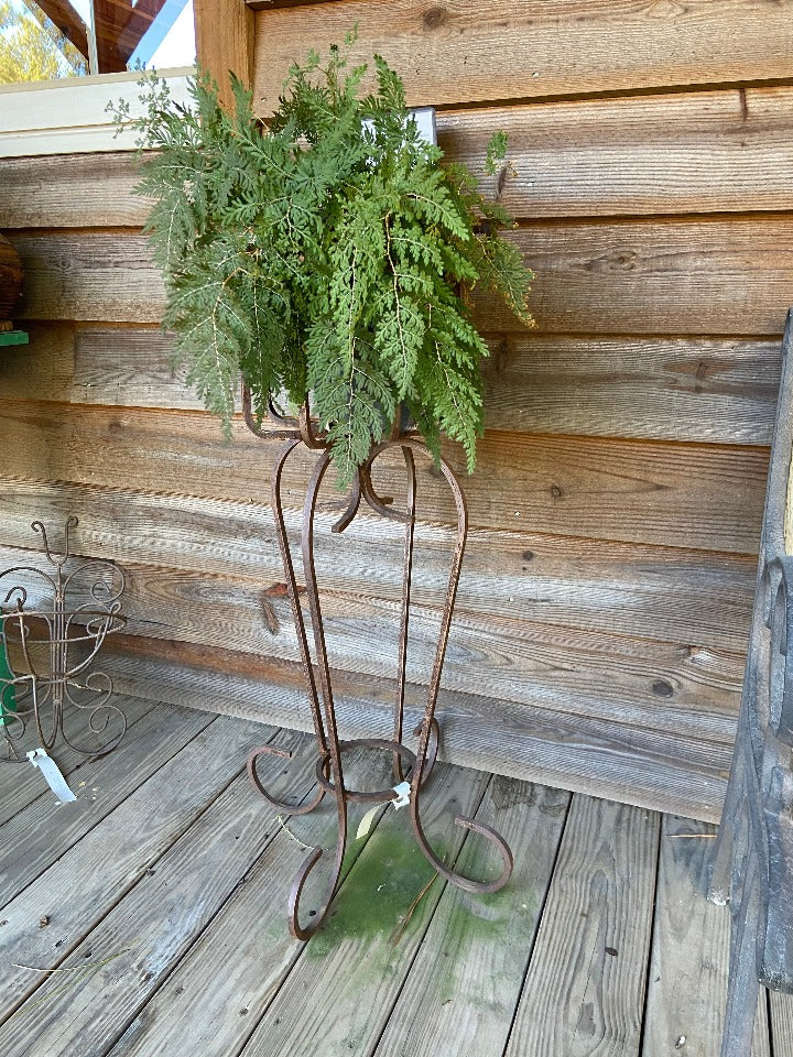 Decorative Iron Planters, Stands & Garden Accents - image 3