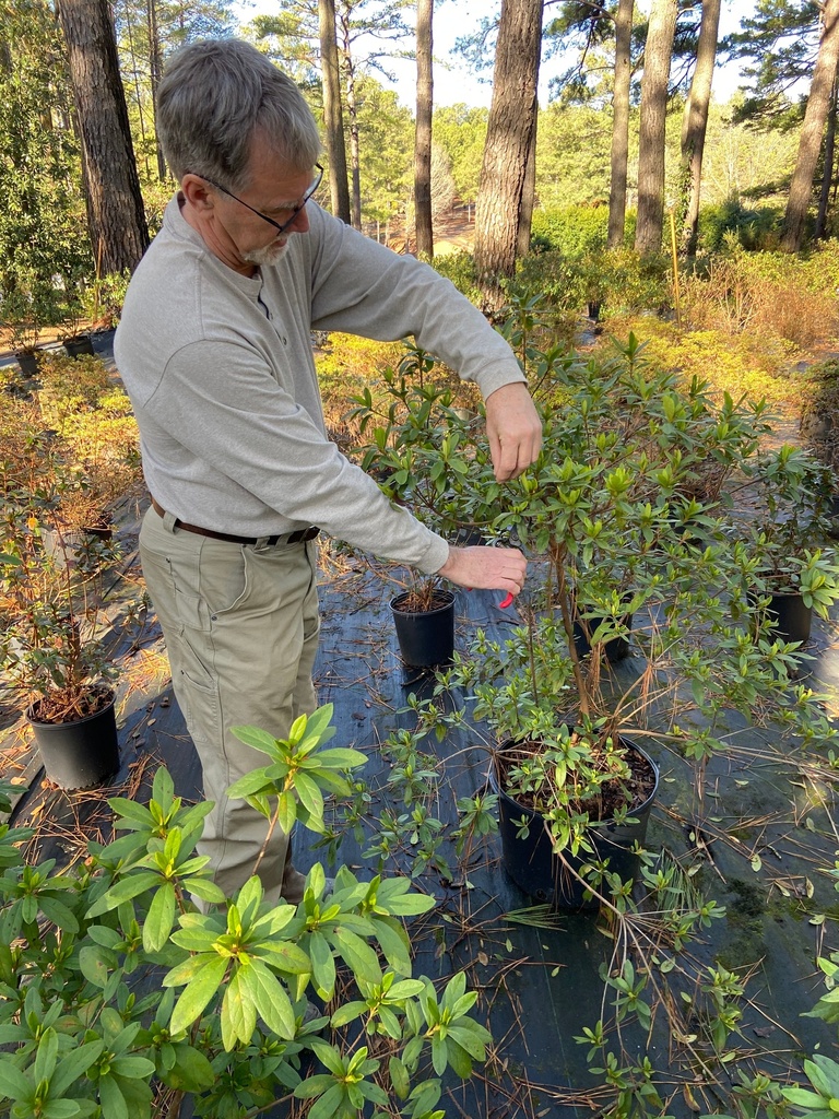 Pruning Workshop – Hands-On Class with Expert Horticulturist - image 2