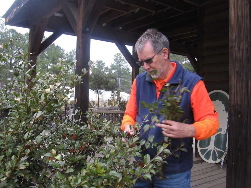 Pruning Workshop – Hands-On Class with Expert Horticulturist - image 3
