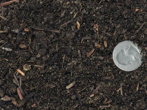 Nursery Pre-Mix Potting Soil – Custom Blended - image 2