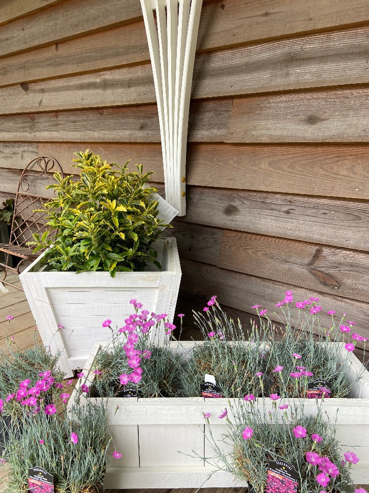 Custom Wood Planters & Trellis by Bryan Richard Designs