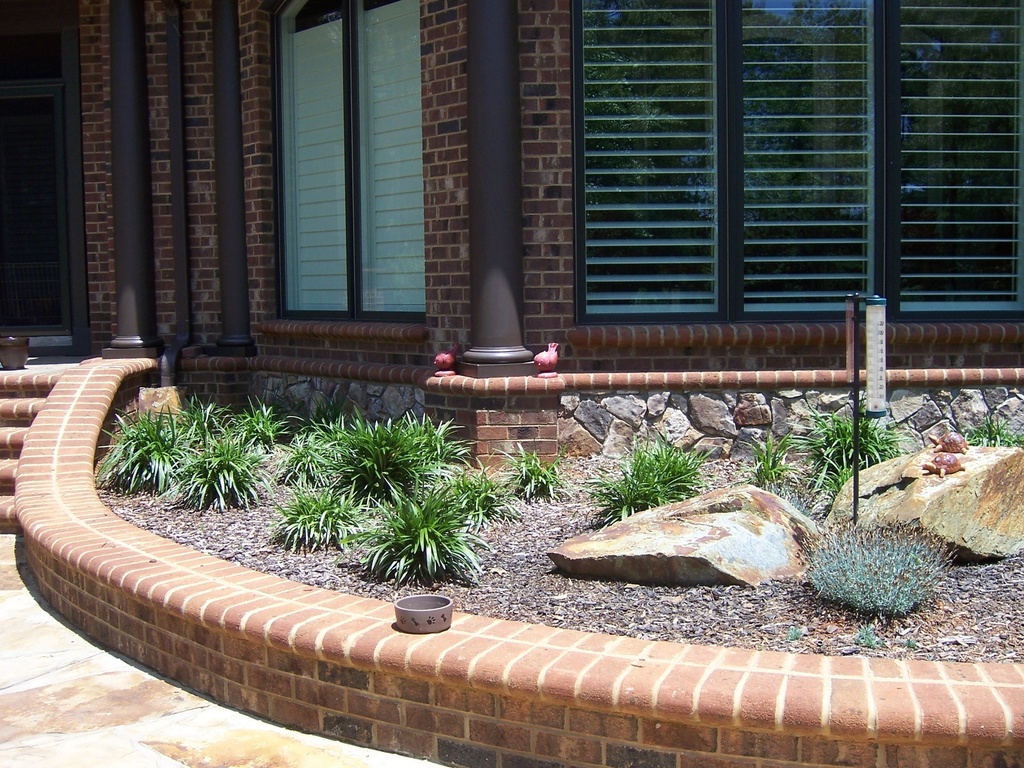 [123589618-1g-container] Liriope (Monkey Grass) – Evergreen Ground Cover (1 gallon container)