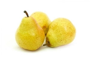 Bartlett Pear Tree – Standard Fruit Tree