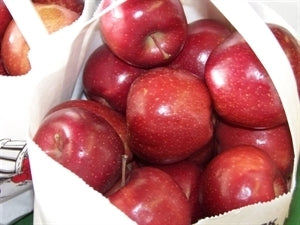 Red Delicious Apple Tree (Standard)