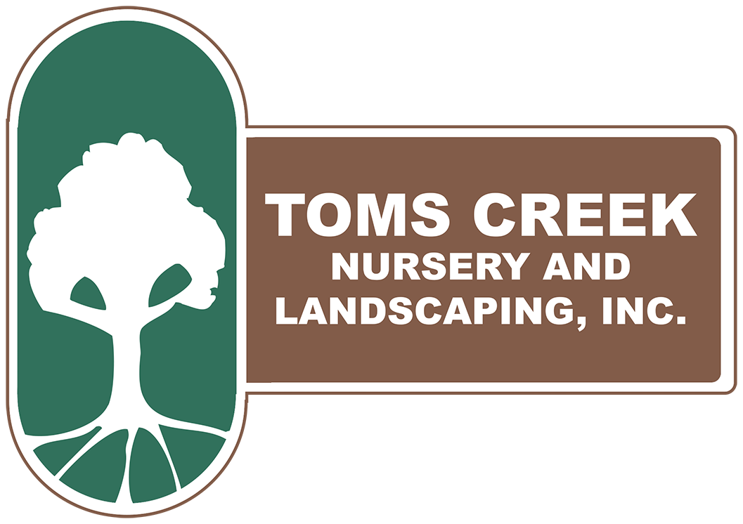Toms Creek